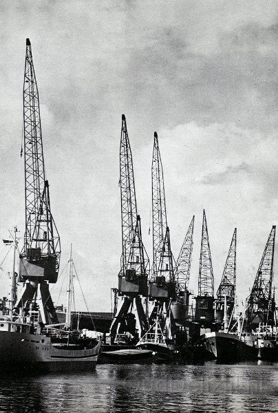 Schepen en kranen in de haven 1.jpg